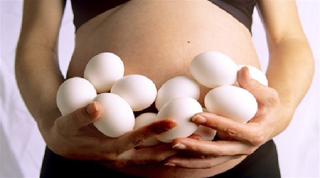 Trứng có nhiều dinh dưỡng thiết yếu
