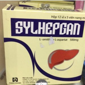 Hình ảnh thuốc Sylhepgan